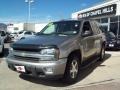 Light Pewter Metallic - TrailBlazer LS 4x4 Photo No. 8