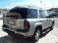 Light Pewter Metallic - TrailBlazer LS 4x4 Photo No. 11