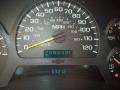 Light Pewter Metallic - TrailBlazer LS 4x4 Photo No. 16