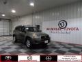 Pyrite Metallic - RAV4 V6 4WD Photo No. 1