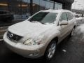 Savannah Beige Metallic - RX 350 AWD Photo No. 3