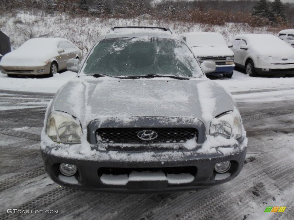 2004 Santa Fe GLS 4WD - Pewter / Gray photo #2