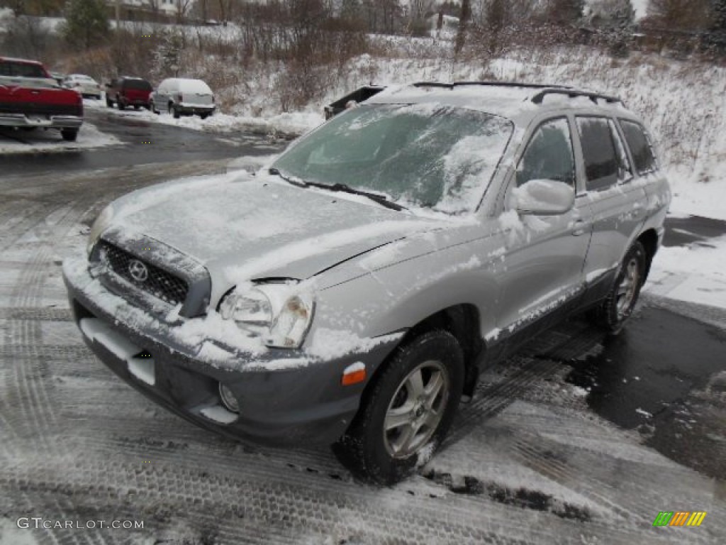 2004 Santa Fe GLS 4WD - Pewter / Gray photo #3