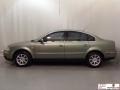 Northern Green Metallic - Passat GLS Sedan Photo No. 5