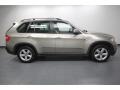 Platinum Bronze Metallic 2009 BMW X5 xDrive30i Exterior