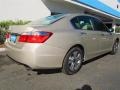 2013 Champagne Frost Pearl Honda Accord LX Sedan  photo #3