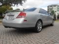 Brilliant Silver Metallic - M 45 Photo No. 5