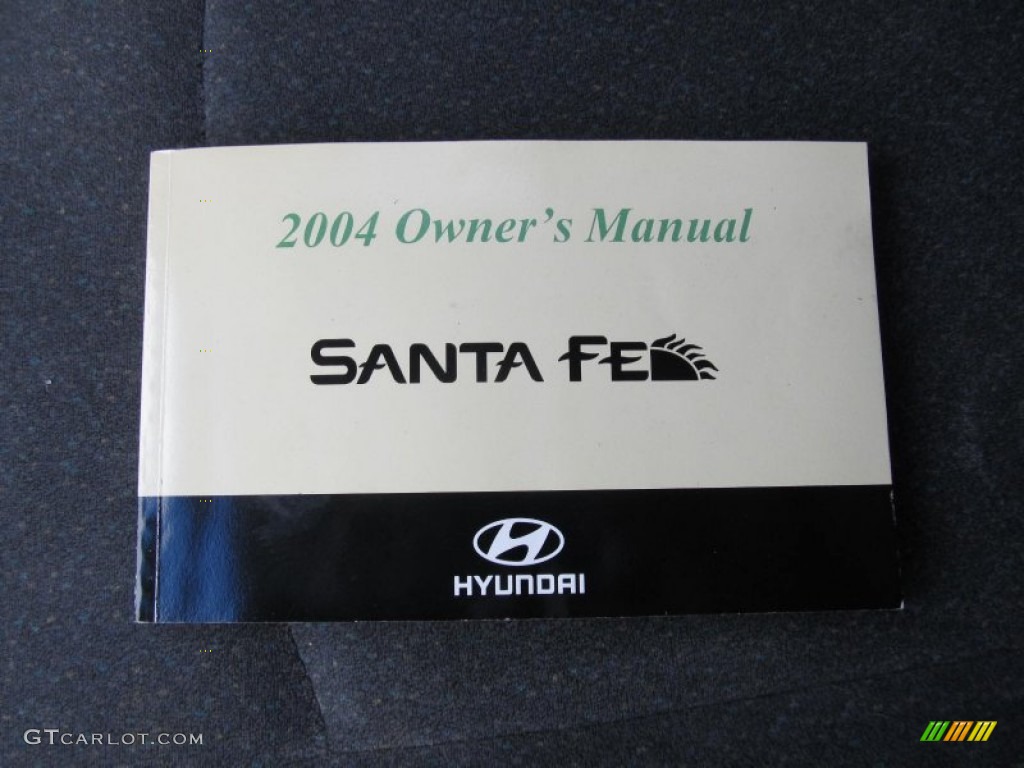2004 Santa Fe GLS 4WD - Canyon Red / Gray photo #19