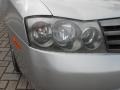 Brilliant Silver Metallic - M 45 Photo No. 16