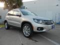 White Gold Metallic - Tiguan SE Photo No. 1