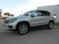 White Gold Metallic - Tiguan SE Photo No. 3