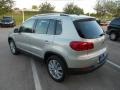 White Gold Metallic - Tiguan SE Photo No. 5
