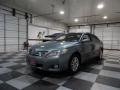 Aloe Green Metallic - Camry XLE Photo No. 3