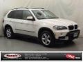 Alpine White - X5 3.0si Photo No. 1