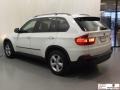 Alpine White - X5 3.0si Photo No. 23