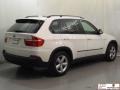 Alpine White - X5 3.0si Photo No. 24