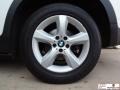 Alpine White - X5 3.0si Photo No. 34