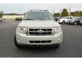 2008 Light Sage Metallic Ford Escape XLT V6  photo #2