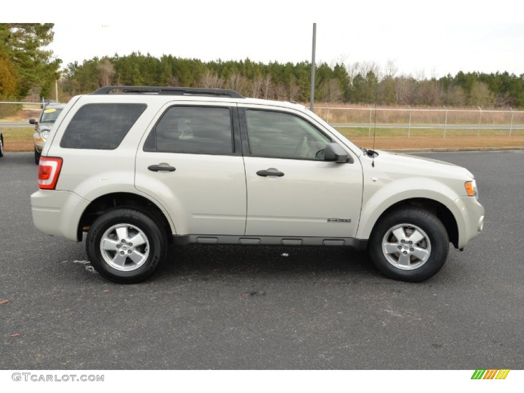 Light Sage Metallic 2008 Ford Escape XLT V6 Exterior Photo #75253315