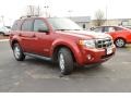 2008 Redfire Metallic Ford Escape XLT  photo #3