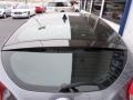 Triathlon Gray - Veloster  Photo No. 8
