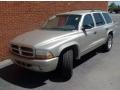 Light Pewter Metallic - Durango SLT Photo No. 2