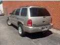 Light Pewter Metallic - Durango SLT Photo No. 3