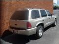 Light Pewter Metallic - Durango SLT Photo No. 5