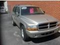 Light Pewter Metallic - Durango SLT Photo No. 7