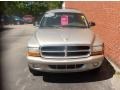 Light Pewter Metallic - Durango SLT Photo No. 8