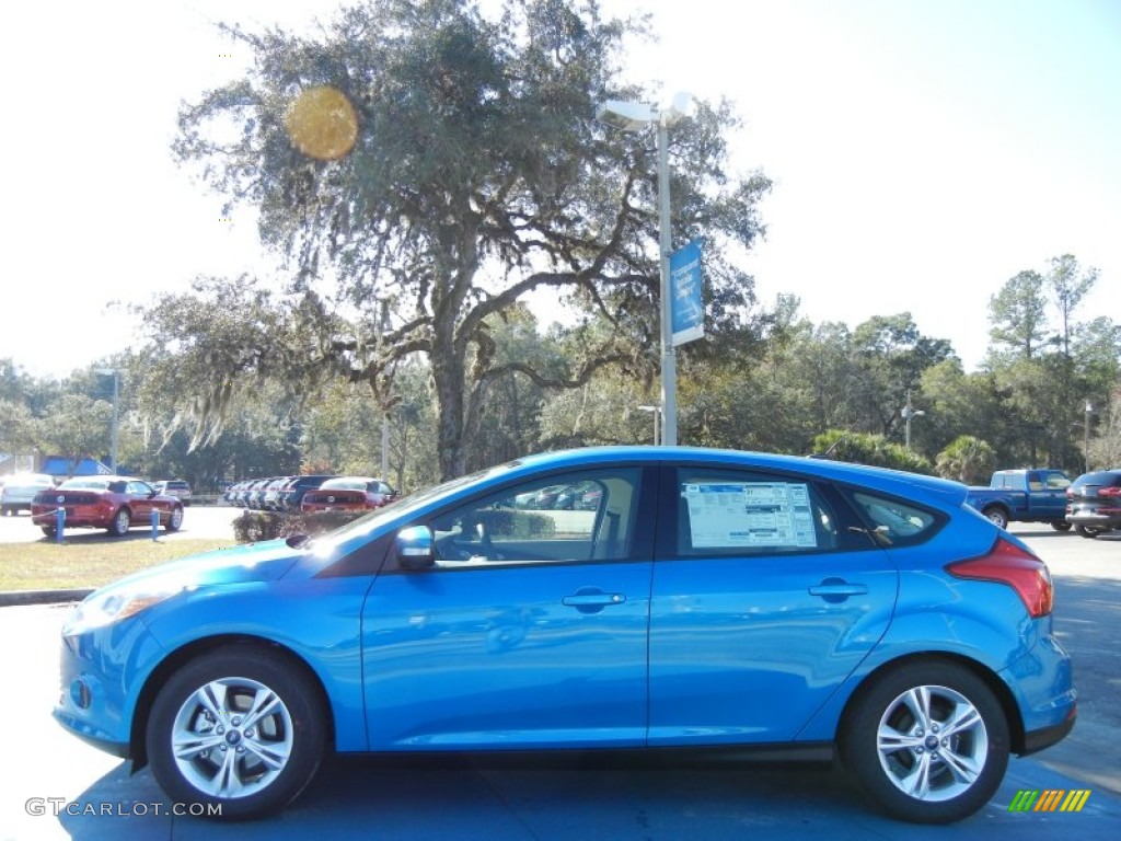 2013 Focus SE Hatchback - Blue Candy / Medium Light Stone photo #2