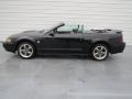 2004 Black Ford Mustang GT Convertible  photo #40