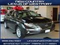 2010 Truffle Brown Mica Lexus RX 350 AWD  photo #1