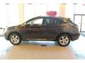 2010 Truffle Brown Mica Lexus RX 350 AWD  photo #2