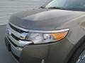 Mineral Gray Metallic - Edge SEL Photo No. 9