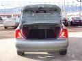Light Tundra Metallic - Focus ZTS Sedan Photo No. 11