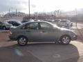 Light Tundra Metallic - Focus ZTS Sedan Photo No. 13