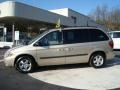 Linen Gold Metallic Pearl - Caravan SXT Photo No. 1
