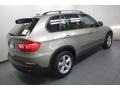Platinum Bronze Metallic - X5 3.0si Photo No. 11