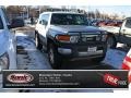 Titanium Metallic - FJ Cruiser 4WD Photo No. 1