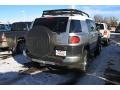Titanium Metallic - FJ Cruiser 4WD Photo No. 2