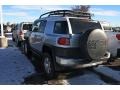 Titanium Metallic - FJ Cruiser 4WD Photo No. 3