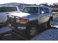Titanium Metallic - FJ Cruiser 4WD Photo No. 4