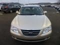 Camel Pearl - Sonata GLS Photo No. 2
