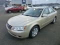 Camel Pearl - Sonata GLS Photo No. 3