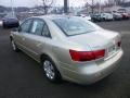 Camel Pearl - Sonata GLS Photo No. 5