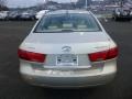 Camel Pearl - Sonata GLS Photo No. 6