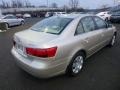 Camel Pearl - Sonata GLS Photo No. 7