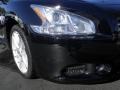 2009 Super Black Nissan Maxima 3.5 SV Premium  photo #2