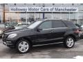 Black - ML 350 4Matic Photo No. 1